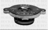 BORG & BECK BRC88 Radiator Cap